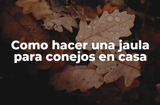 Como Hacer una Jaula para Conejos en Casa