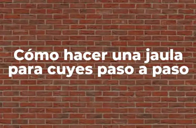 Cómo Hacer una Jaula para Cuyes Paso a Paso