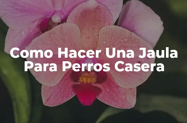 Como Hacer una Jaula para Perros Casera