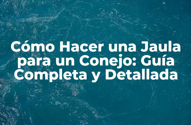 Cómo Hacer una Jaula para un Conejo: Guía Completa y Detallada