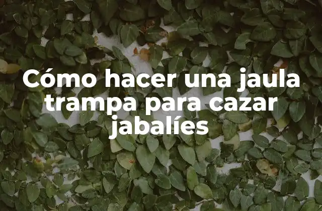 Cómo Hacer una Jaula Trampa para Cazar Jabalíes