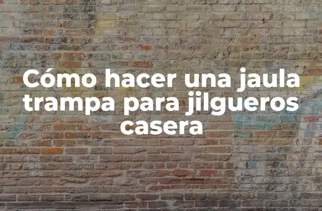 Cómo Hacer una Jaula Trampa para Jilgueros Casera