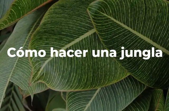 Qué es una jungla y para qué sirve