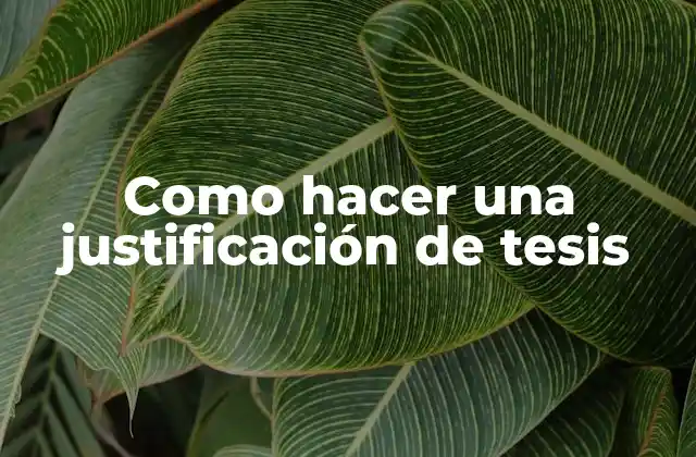 Como Hacer una Justificación de Tesis