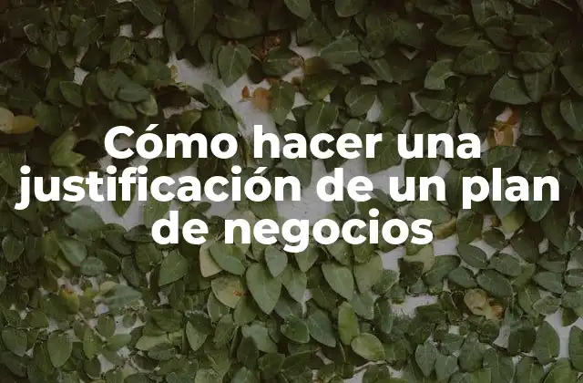 Cómo Hacer una Justificación de un Plan de Negocios