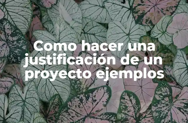 Como Hacer una Justificación de un Proyecto Ejemplos