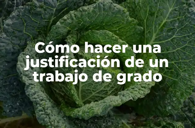 Cómo Hacer una Justificación de un Trabajo de Grado