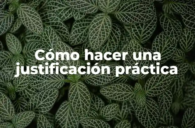 Cómo Hacer una Justificación Práctica