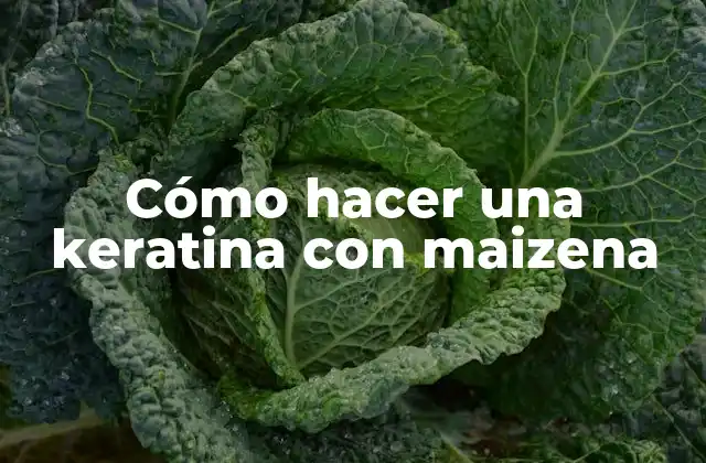 Cómo Hacer una Keratina con Maizena