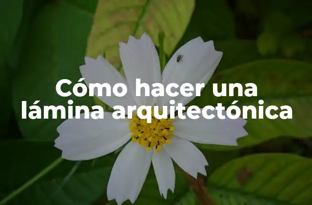 Cómo Hacer una Lámina Arquitectónica