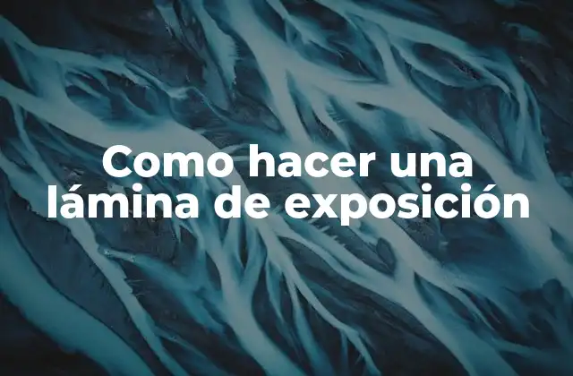 Como Hacer una Lámina de Exposición