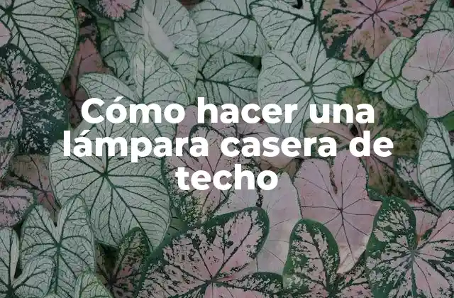 Cómo Hacer una Lámpara Casera de Techo