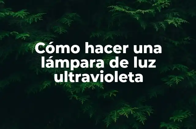 Cómo Hacer una Lámpara de Luz Ultravioleta