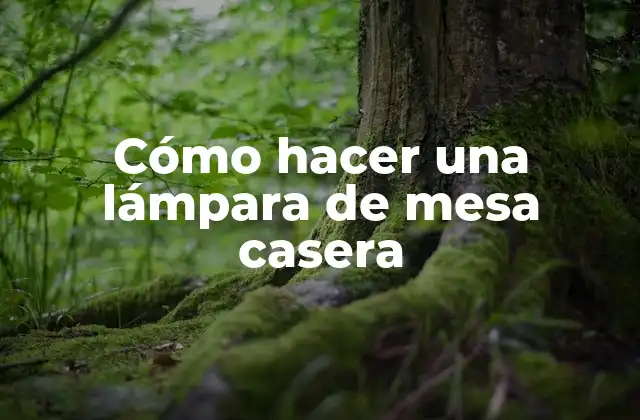 Cómo Hacer una Lámpara de Mesa Casera