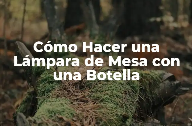 Cómo Hacer una Lámpara de Mesa con una Botella