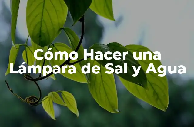 Cómo Hacer una Lámpara de Sal y Agua
