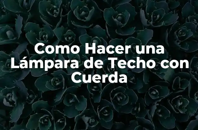 Como Hacer una Lámpara de Techo con Cuerda