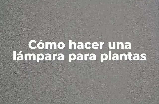 Cómo Hacer una Lámpara para Plantas