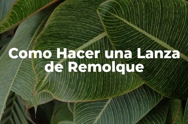 Como Hacer una Lanza de Remolque