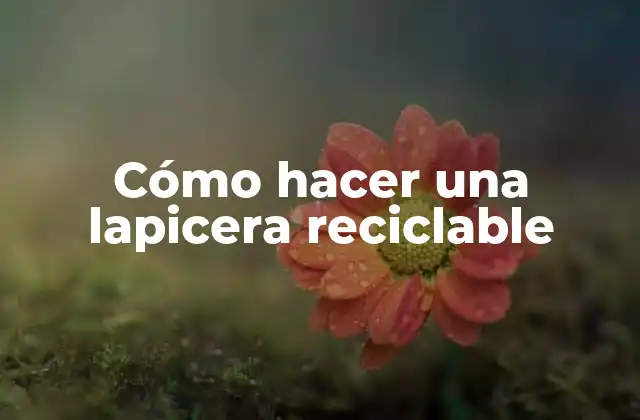 Cómo Hacer una Lapicera Reciclable