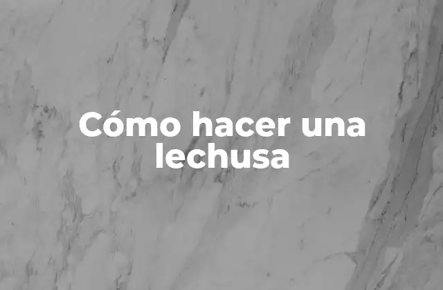¿Qué es una lechusa?