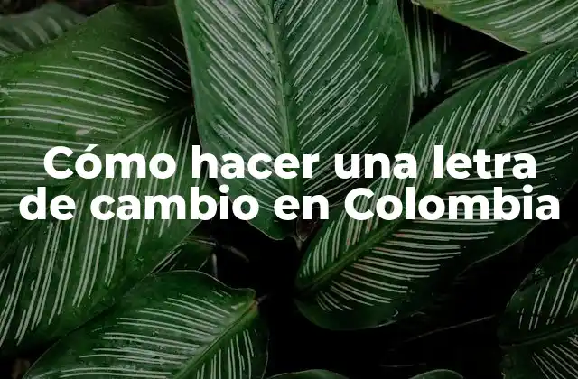 Cómo Hacer una Letra de Cambio en Colombia