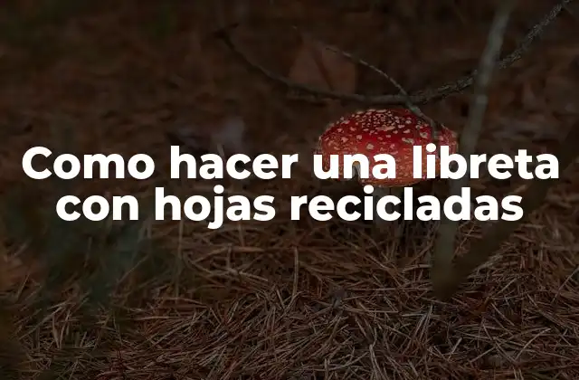 Como Hacer una Libreta con Hojas Recicladas