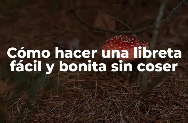 Cómo Hacer una Libreta Fácil y Bonita sin Coser 2 Cómo hacer una libreta fácil y bonita sin coser