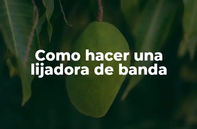 Como Hacer una Lijadora de Banda