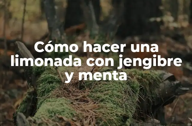 Cómo Hacer una Limonada con Jengibre y Menta