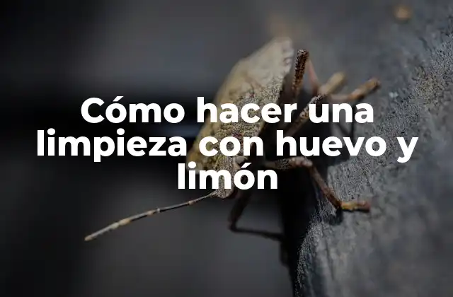Cómo Hacer una Limpieza con Huevo y Limón