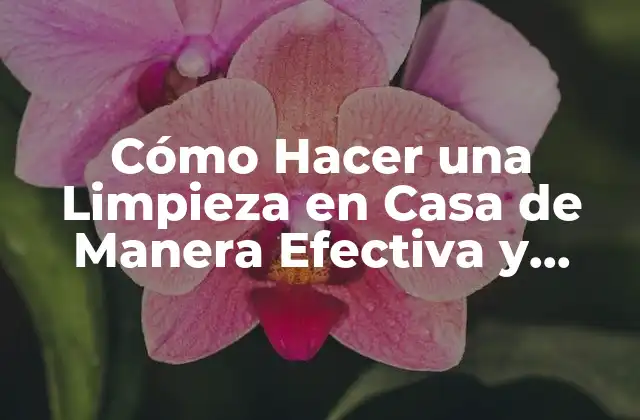 Preparación para la Limpieza en Casa