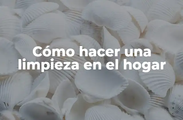 Cómo Hacer una Limpieza en el Hogar