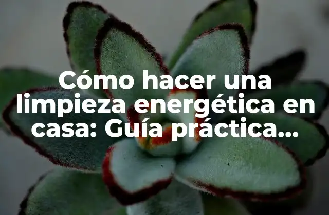 Cómo Hacer una Limpieza Energética en Casa: Guía Práctica para una Vida Más Equilibrada