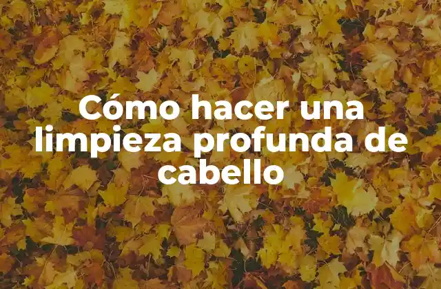 Cómo Hacer una Limpieza Profunda de Cabello 2 ¿Qué es una limpieza profunda de cabello y para qué sirve?