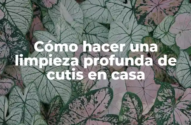 Cómo Hacer una Limpieza Profunda de Cutis en Casa