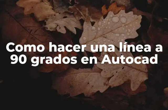 Como Hacer una Línea a 90 Grados en Autocad