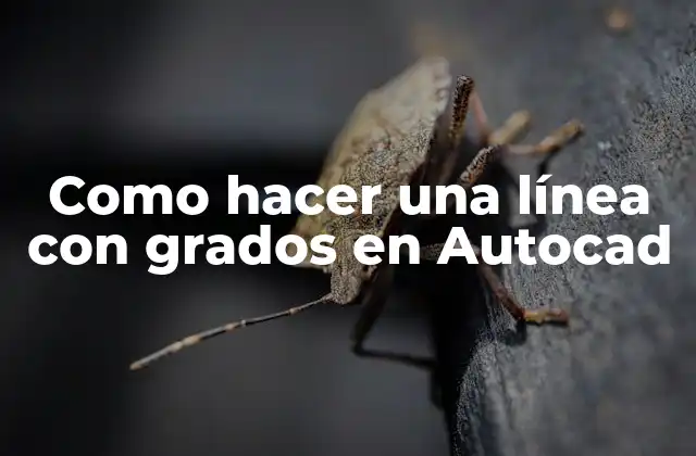 Como Hacer una Línea con Grados en Autocad
