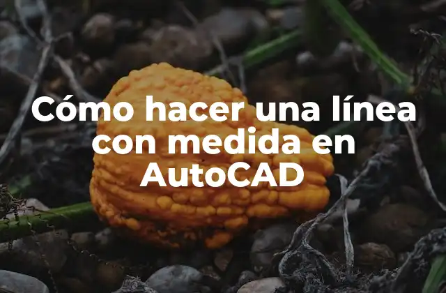 Cómo Hacer una Línea con Medida en Autocad