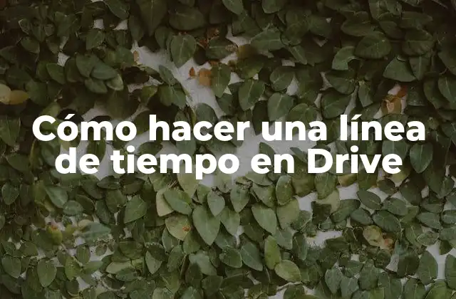 Cómo Hacer una Línea de Tiempo en Drive