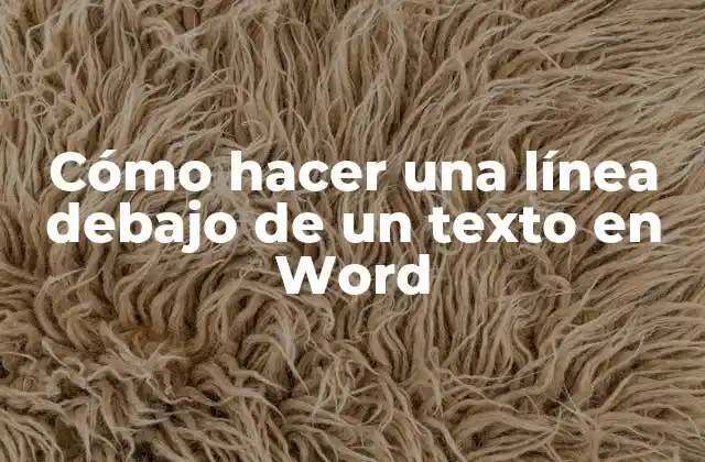 Cómo Hacer una Línea Debajo de un Texto en Word