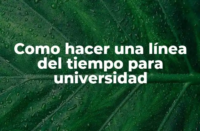 Como Hacer una Línea Del Tiempo para Universidad 2 ¿Qué es una línea del tiempo para universidad?