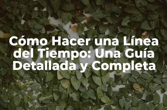 Cómo Hacer una Línea Del Tiempo: una Guía Detallada y Completa