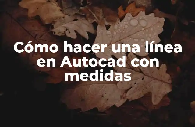 Cómo Hacer una Línea en Autocad con Medidas