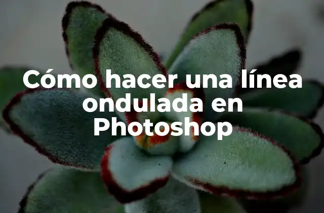 Cómo Hacer una Línea Ondulada en Photoshop