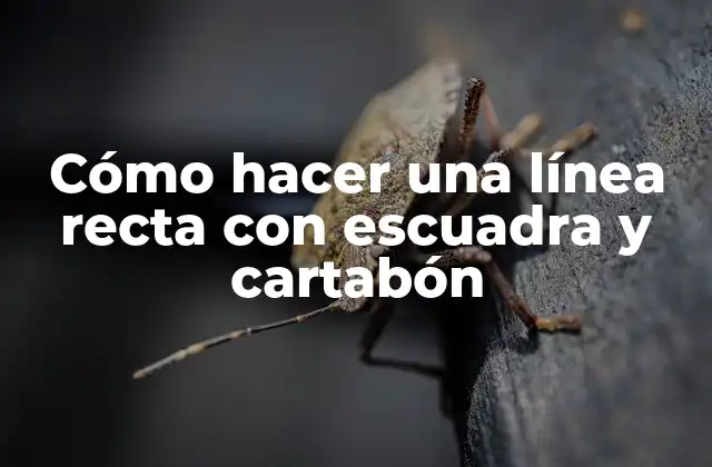 Cómo Hacer una Línea Recta con Escuadra y Cartabón 2 ¿Qué es una escuadra y un cartabón?