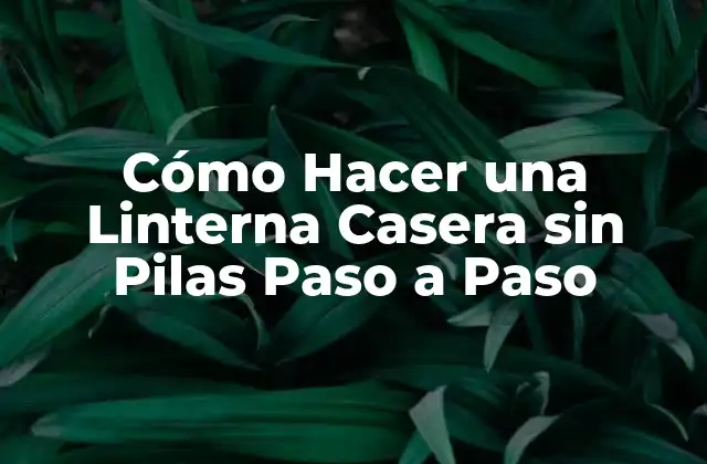 ¿Qué es una Linterna Casera sin Pilas?