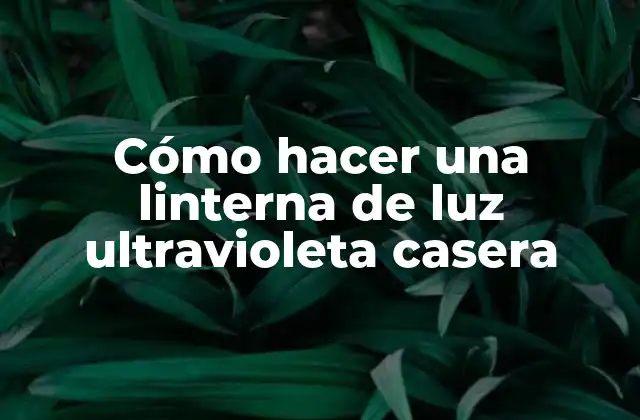 Cómo Hacer una Linterna de Luz Ultravioleta Casera 2 Cómo hacer una linterna de luz ultravioleta casera