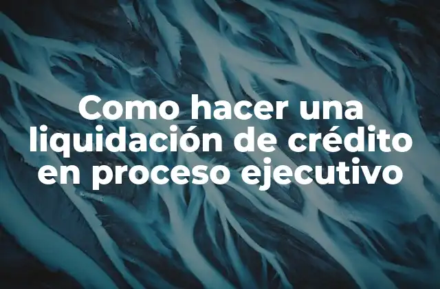 Como Hacer una Liquidación de Crédito en Proceso Ejecutivo 2 Liquidación de crédito en proceso ejecutivo