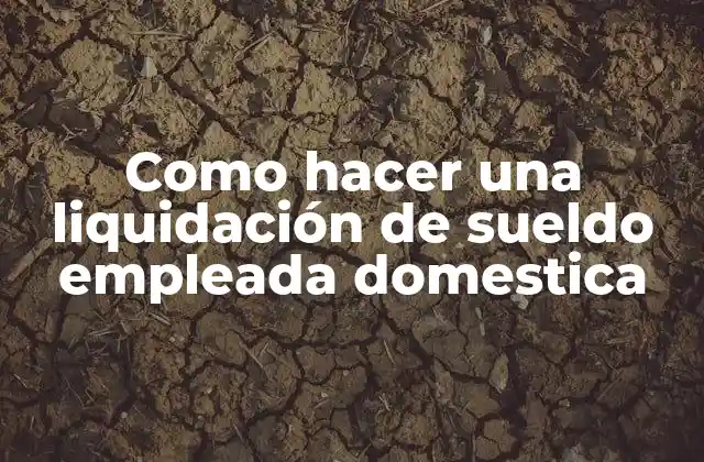 Como Hacer una Liquidación de Sueldo Empleada Domestica